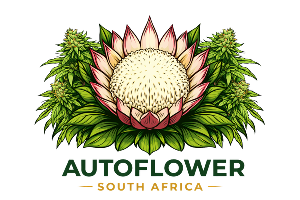Autoflower South Africa